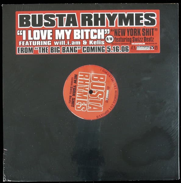 I Love My Chick by Busta Rhymes feat. will.i.am & Kelis