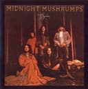 Midnight Mushrumps cover