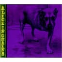 Alice in Chains cover