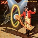 Heads or Tales cover