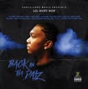 Back in tha Dayz cover