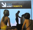 Sunny Trumpets cover