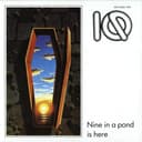 Nine in a Pond Is Here cover