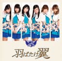 羽ばたけ翼 cover