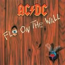 Fly on the Wall cover