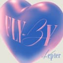 <FLY‐BY> cover
