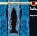Sky Dive cover