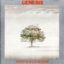 Wind & Wuthering cover