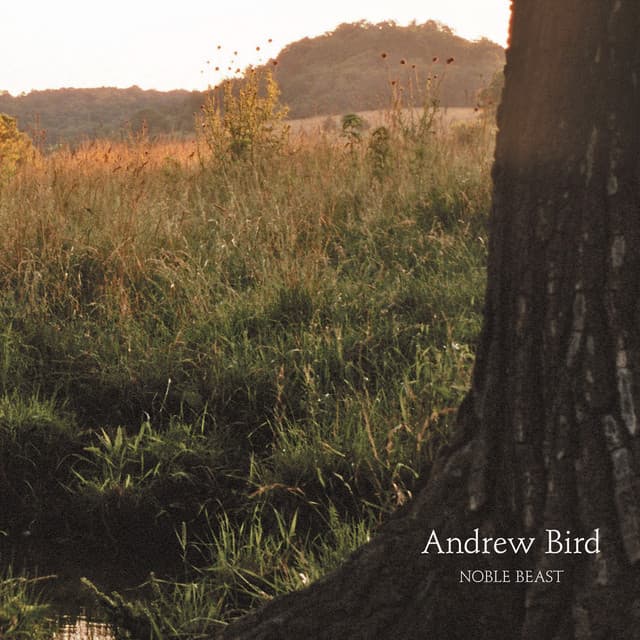 Noble Beast by Andrew Bird
