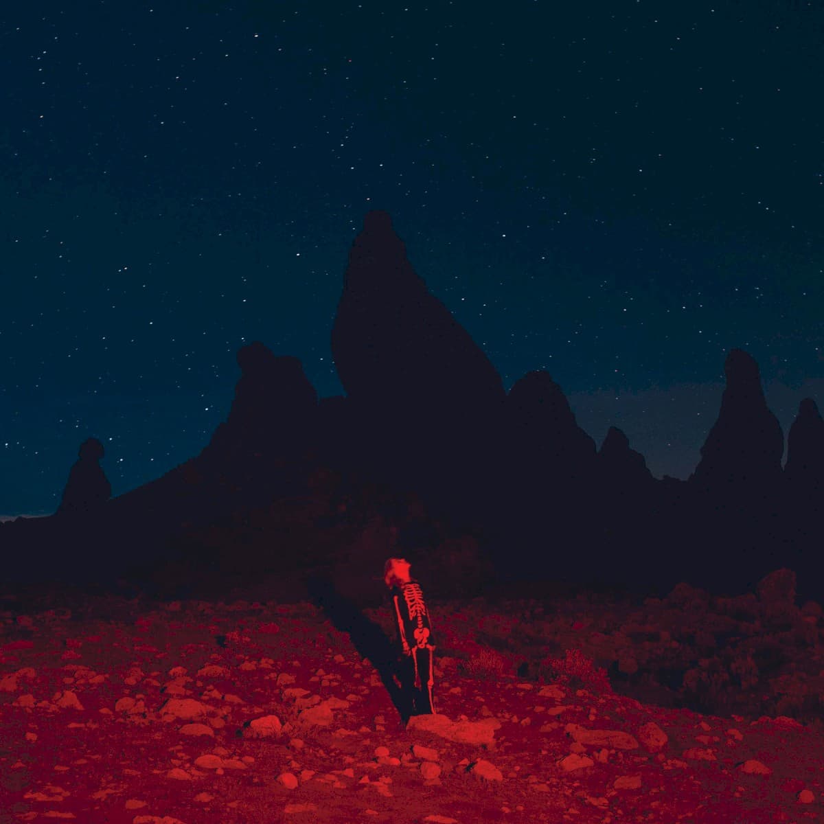 Punisher by Phoebe Bridgers