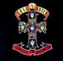 Appetite for Destruction cover