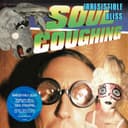 Irresistible Bliss cover