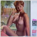 Adam Stag Party Record 7: Spice After Hours cover