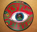 The Psychedelic Sounds of the 13th Floor Elevators cover