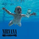 Nevermind cover