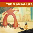 Yoshimi Battles the Pink Robots cover