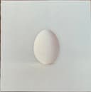 A Ghost Is Born cover