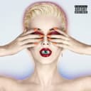 Witness cover