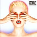 Witness cover