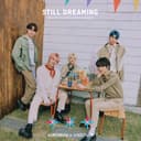 STILL DREAMING cover