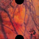 Blank Face LP cover