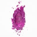 The Pinkprint cover