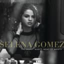 The Heart Wants What It Wants cover