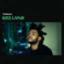 Kiss Land cover