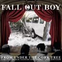 From Under the Cork Tree cover
