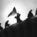 Playing Robots Into Heaven cover