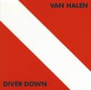 Diver Down cover