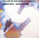 My Life in the Bush of Ghosts cover