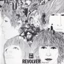 Revolver cover