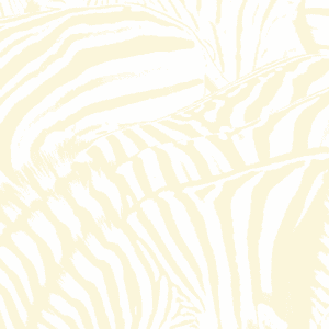 Teen Dream by Beach House