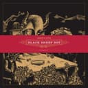 Black Sheep Boy cover