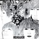 Revolver cover