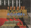 Multitudes cover