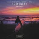 Surrender (The Remixes) cover