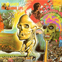 Oh My Gawd!!!… The Flaming Lips cover