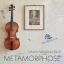 Metamorphose (Bachs verlorene Triosonaten - Rekonstruktionen der vermuteten Urfassungen von BWV 1015, 1028, 1029 und 1043) cover