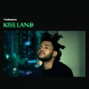 Kiss Land cover