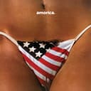 Amorica (Deluxe Edition) cover