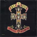Appetite for Destruction cover