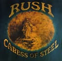 Caress of Steel cover