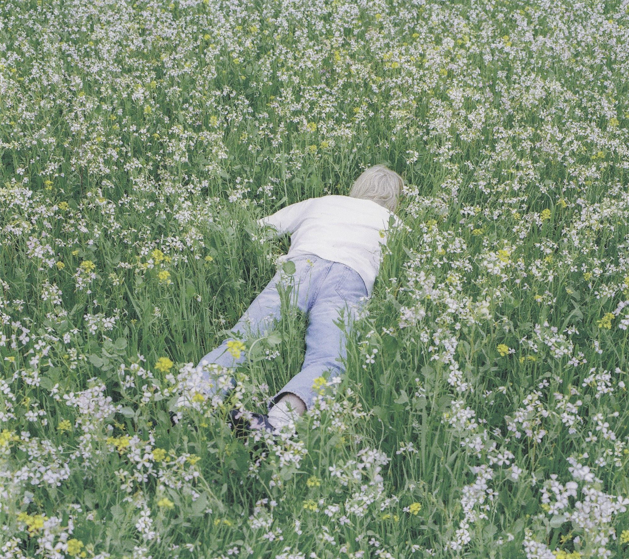 Nurture cover