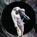 Reflektor cover