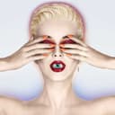 Witness cover