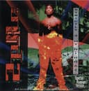 Strictly 4 My N.I.G.G.A.Z… cover