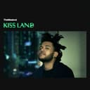Kiss Land cover