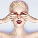 Witness cover